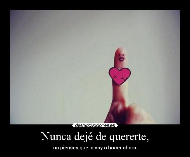 Nunca dejé de quererte, -