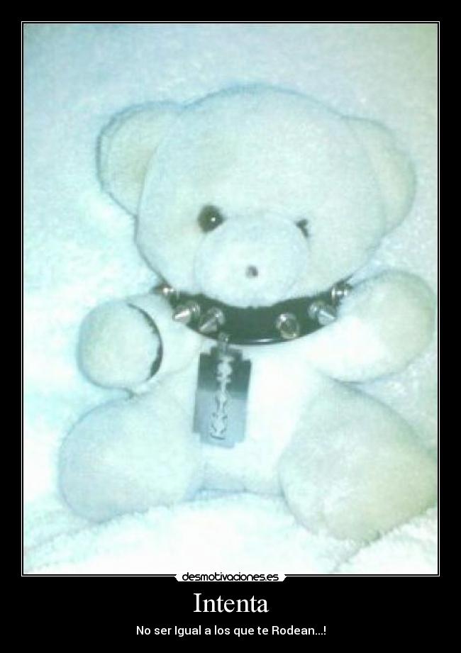 Intenta -