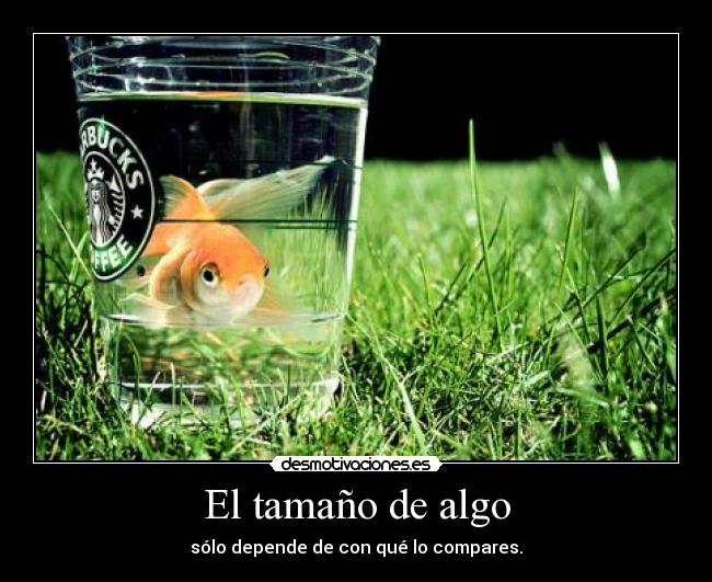 El tamaño de algo -