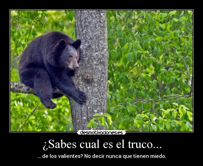 ¿Sabes cual es el truco... - 