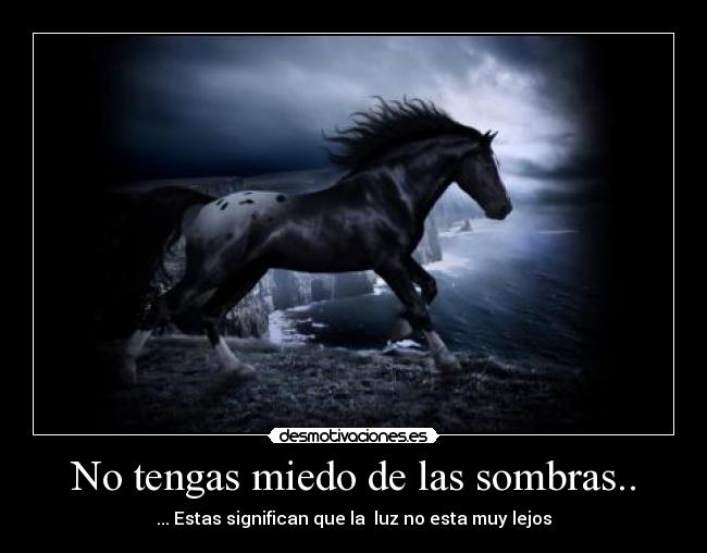 No tengas miedo de las sombras.. - ... Estas significan que la luz no esta muy lejos