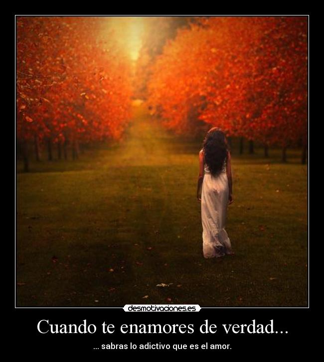 Cuando te enamores de verdad... - ... sabras lo adictivo que es el amor.