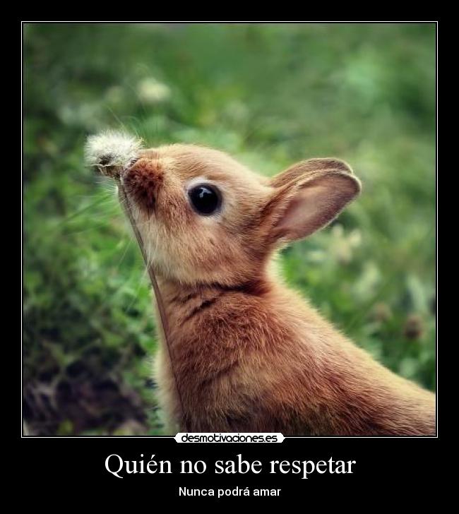 Quién no sabe respetar - Nunca podrá amar
