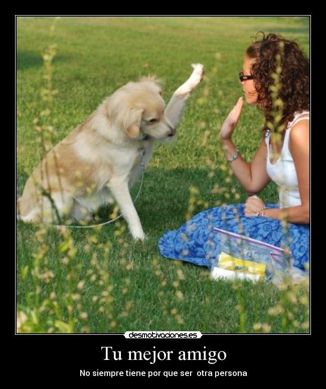 Tu mejor amigo - No siempre tiene por que ser otra persona