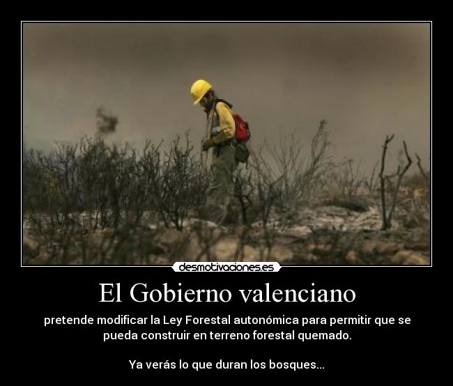 El Gobierno valenciano - pretende modificar la Ley Forestal autonómica para permitir que se
pueda construir en terreno forestal quemado.

Ya verás lo que duran los bosques...