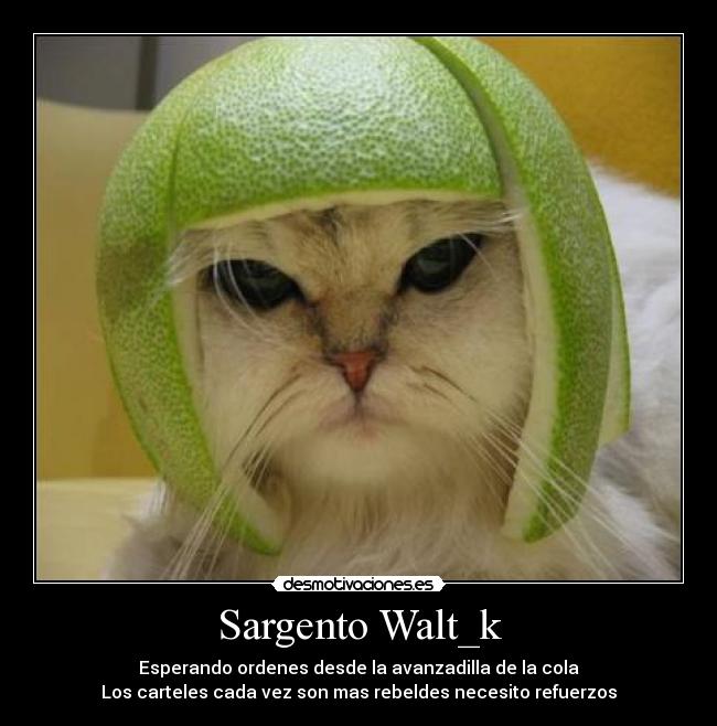 Sargento Walt_k - 