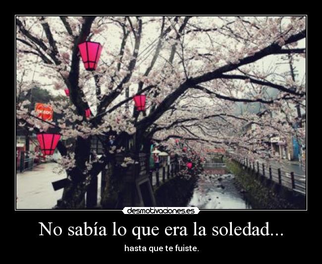 No sabía lo que era la soledad... - hasta que te fuiste.