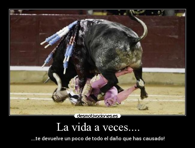 La vida a veces.... - ....te devuelve un poco de todo el daño que has causado!