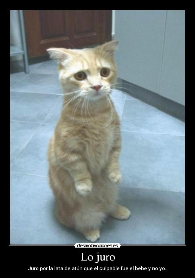 Lo juro - 