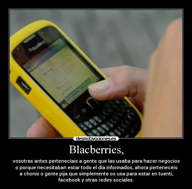 Blacberries, - 