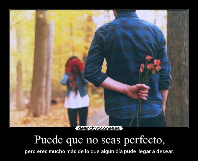 Puede que no seas perfecto, - pero eres mucho más de lo que algún día pude llegar a desear.