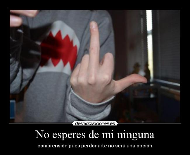 No esperes de mi ninguna - comprensión pues perdonarte no será una opción.