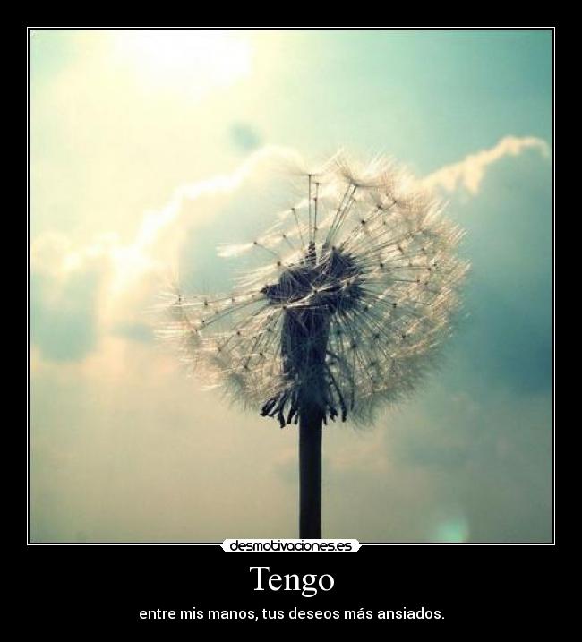 Tengo - entre mis manos, tus deseos más ansiados.