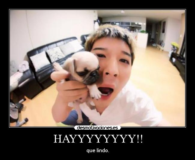 HAYYYYYYYY!! -
