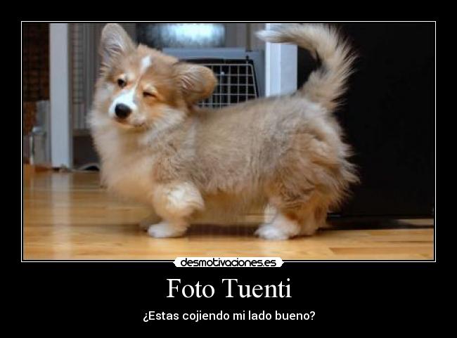 Foto Tuenti - ¿Estas cojiendo mi lado bueno?