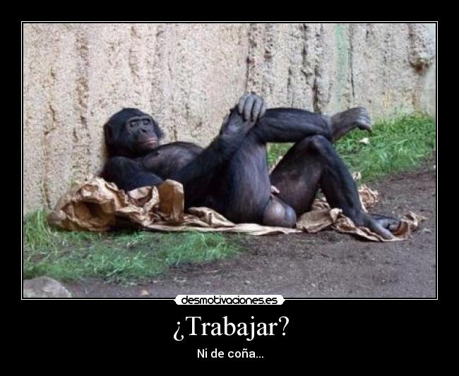 ¿Trabajar? - Ni de coña...