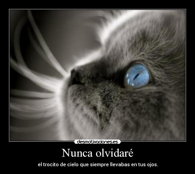 Nunca olvidaré - el trocito de cielo que siempre llevabas en tus ojos.