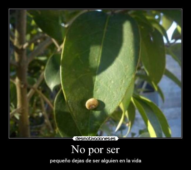 No por ser -
