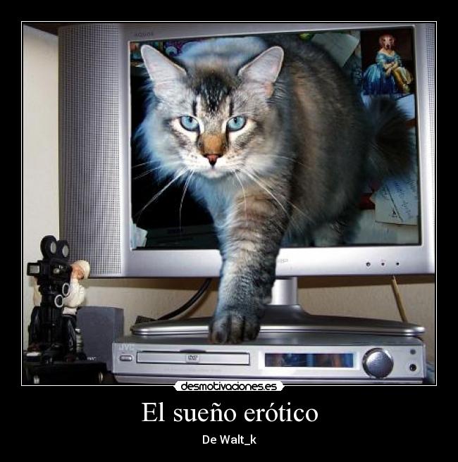 El sueño erótico - De Walt_k