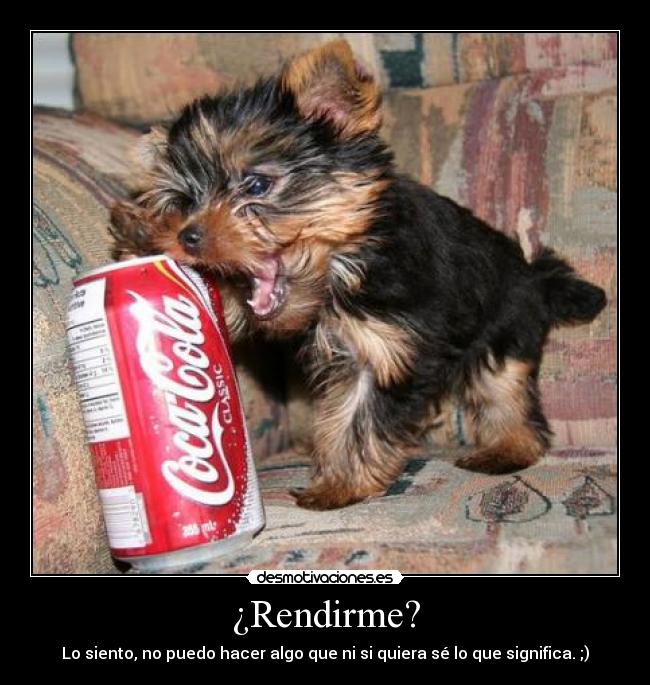 ¿Rendirme? - 