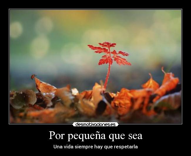 Por pequeña que sea - 