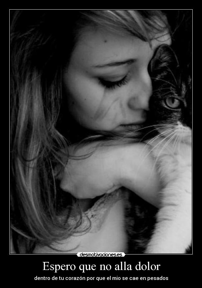 Espero que no alla dolor - dentro de tu corazón por que el mio se cae en pesados