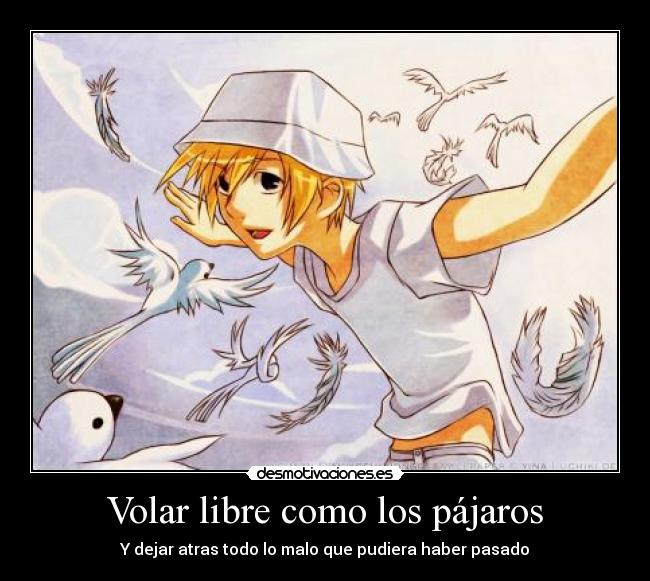 Volar libre como los pájaros - 