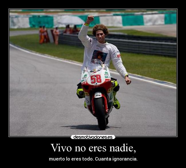 Vivo no eres nadie, -