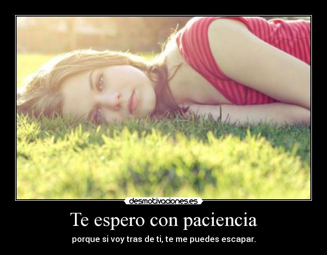 Te espero con paciencia - porque si voy tras de ti, te me puedes escapar.