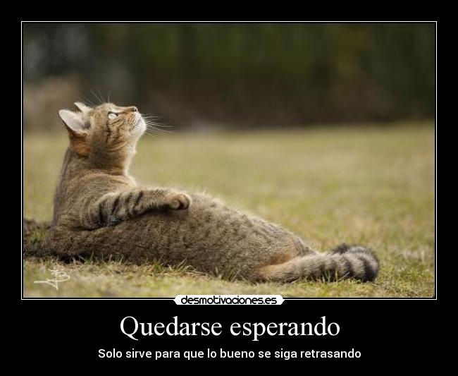 Quedarse esperando - Solo sirve para que lo bueno se siga retrasando