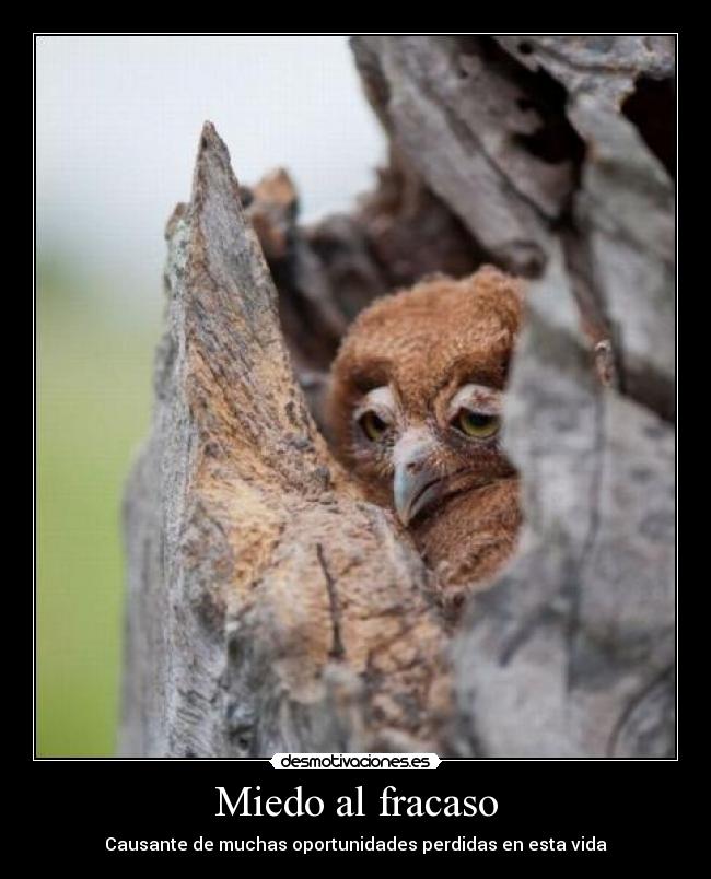 Miedo al fracaso - Causante de muchas oportunidades perdidas en esta vida