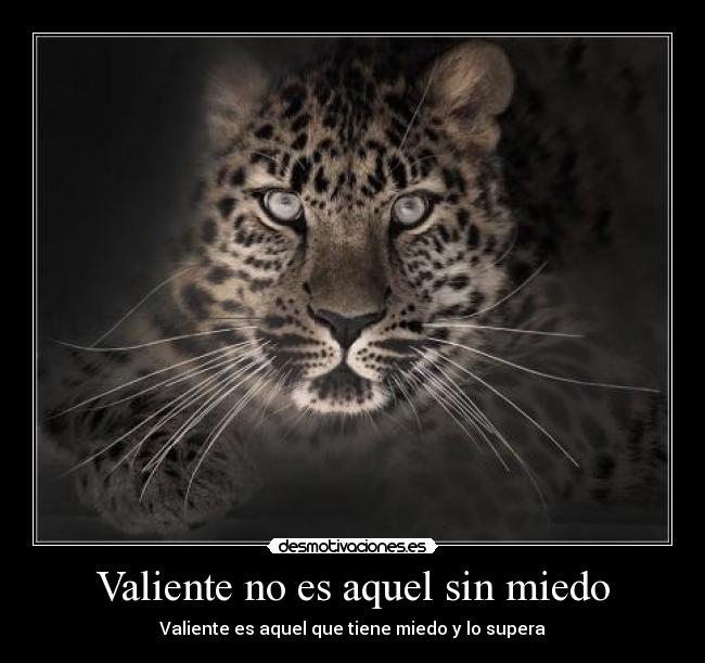 Valiente no es aquel sin miedo - Valiente es aquel que tiene miedo y lo supera