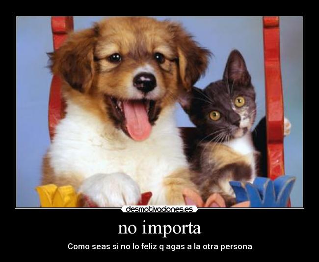 no importa - Como seas si no lo feliz q agas a la otra persona