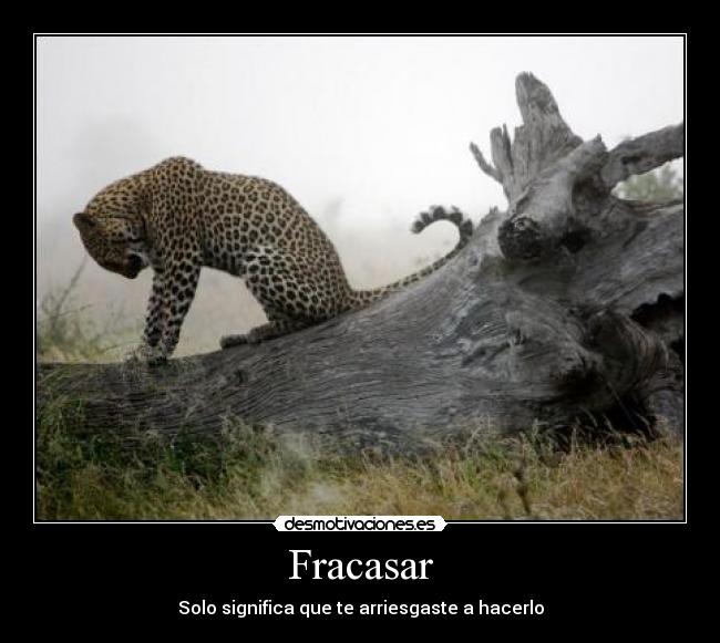 Fracasar - Solo significa que te arriesgaste a hacerlo