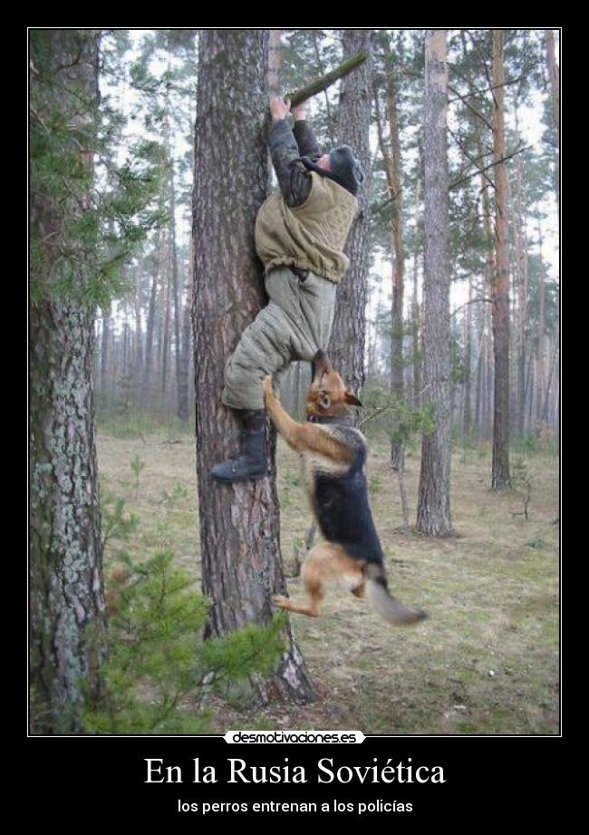 En la Rusia Soviética -