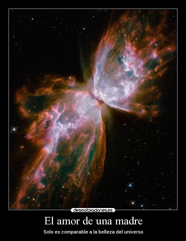 El amor de una madre - Solo es comparable a la belleza del universo