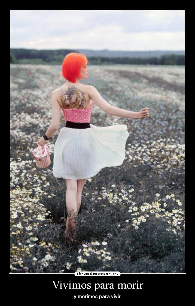 carteles desmotivaciones