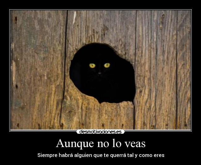 Aunque no lo veas - Siempre habrá alguien que te querrá tal y como eres