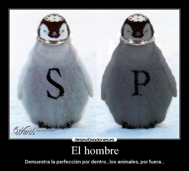 El hombre - Demuestra la perfección por dentro...los animales, por fuera...