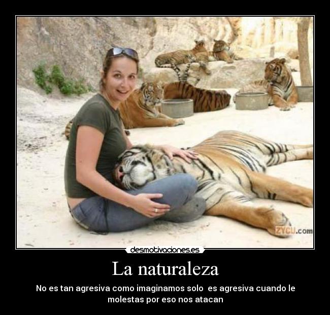 La naturaleza - No es tan agresiva como imaginamos solo es agresiva cuando le
molestas por eso nos atacan