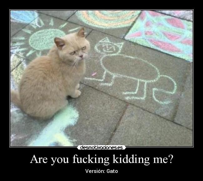 Are you fucking kidding me? - Versión: Gato