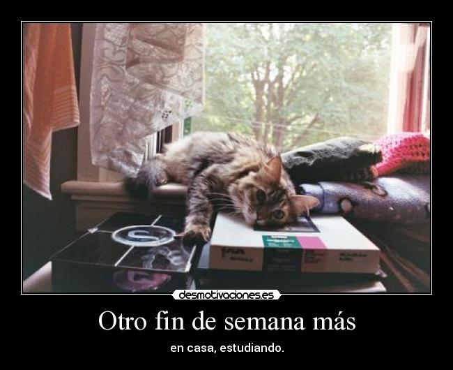 Otro fin de semana más -