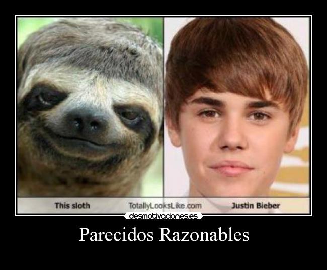 Parecidos Razonables - 