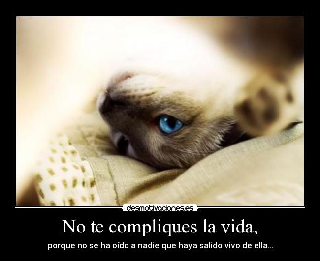 No te compliques la vida, - porque no se ha oído a nadie que haya salido vivo de ella...