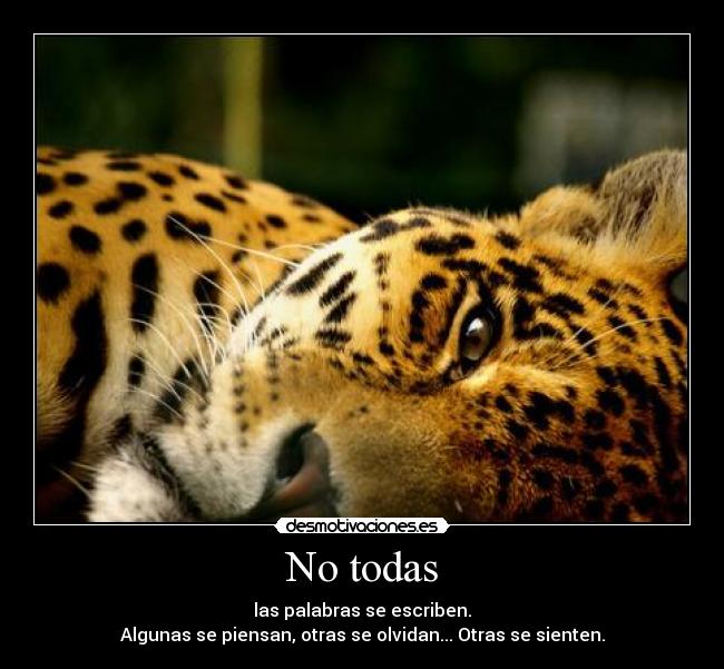 No todas - 