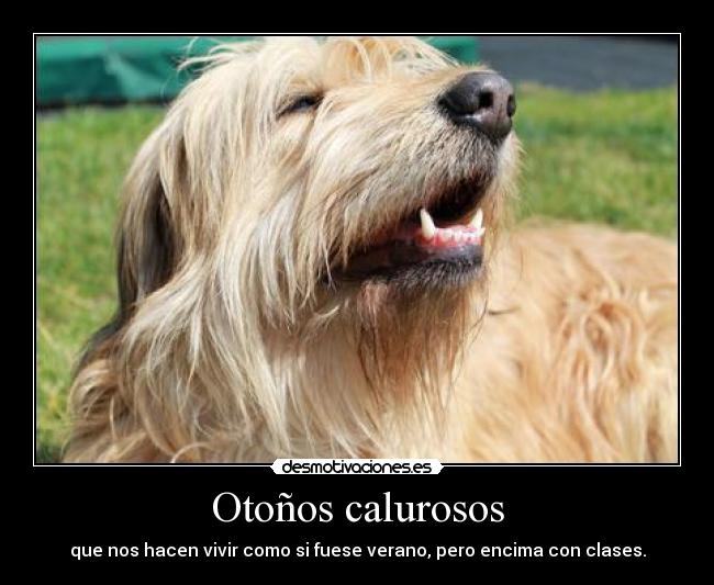 Otoños calurosos - que nos hacen vivir como si fuese verano, pero encima con clases.