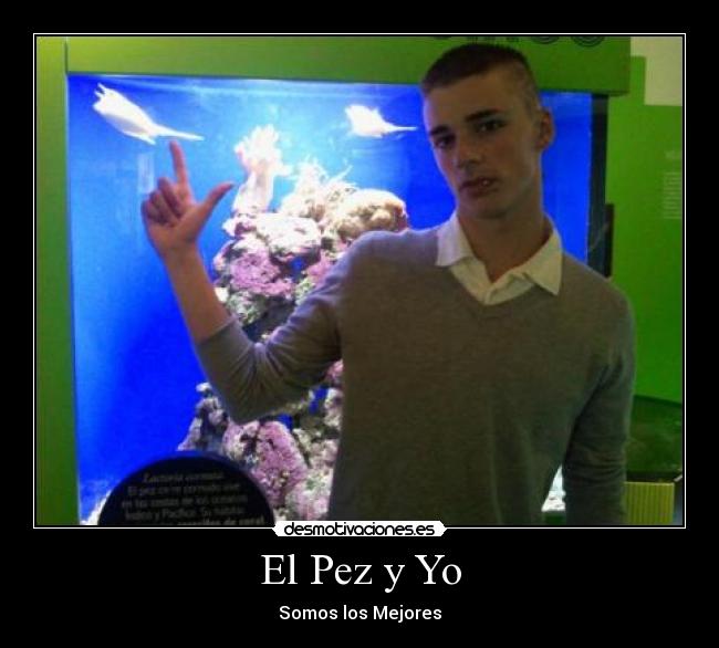 El Pez y Yo - Somos los Mejores