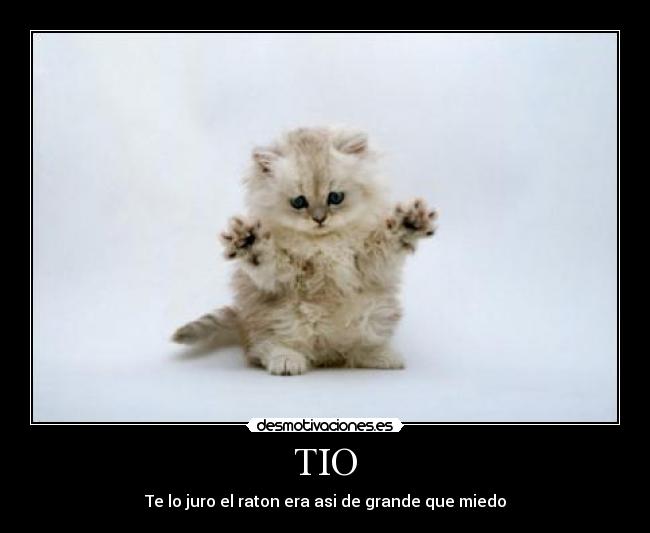 TIO - Te lo juro el raton era asi de grande que miedo