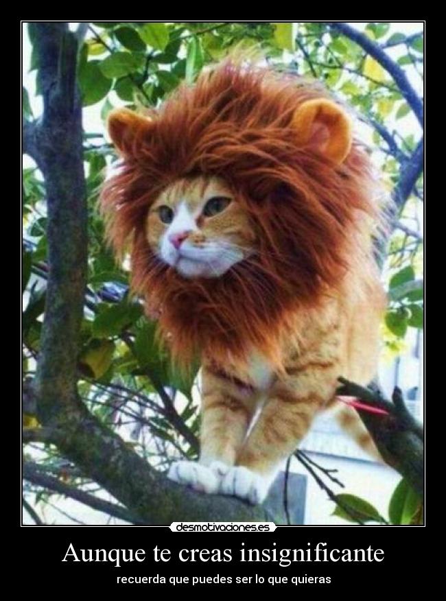 Aunque te creas insignificante - recuerda que puedes ser lo que quieras