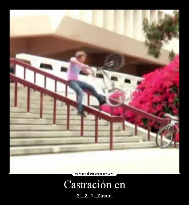 Castración en - 3....2...1...Zasca.